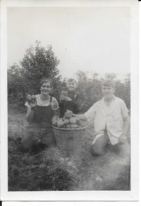 Roy's son Herbert and daughter Marguerite, along with a young relative, showing off some of the potato crop in this 1930s image.