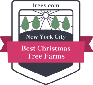 A graphic badge with a ribbon reading "Best Christmas Tree Farms" over an image of four trees in the sunlight.  Beneath the trees it reads "New York City."  A the top of the badge is "Trees.com".