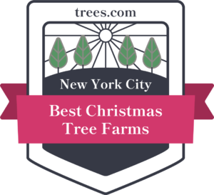 A graphic badge with a ribbon reading "Best Christmas Tree Farms" over an image of four trees in the sunlight. Beneath the trees it reads "New York City." A the top of the badge is "Trees.com".